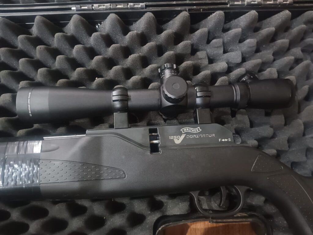walther-dominator